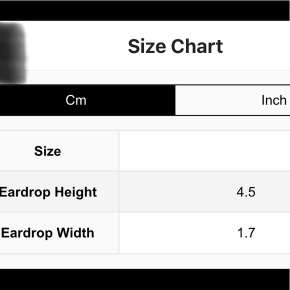 Earrings - Picture 3 of 4